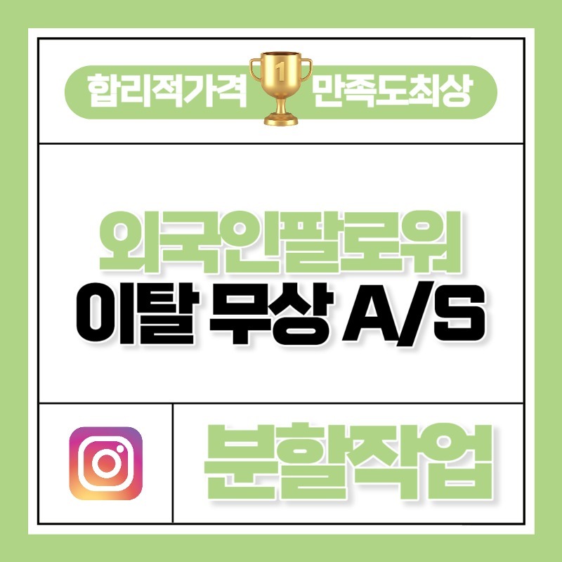 외국인 팔로워 [분할작업]